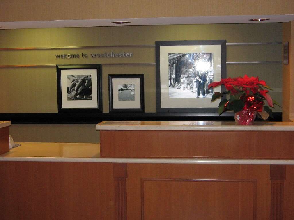 Hotel Four Points By Sheraton Chicago Westchester/Oak Brook Interior foto